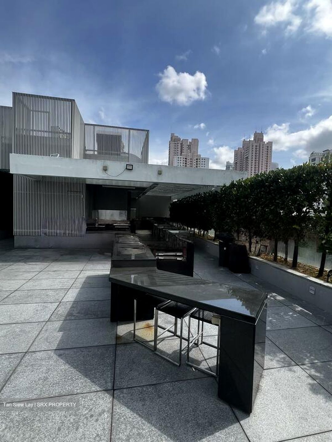 RV Residences (D10), Condominium #463561551